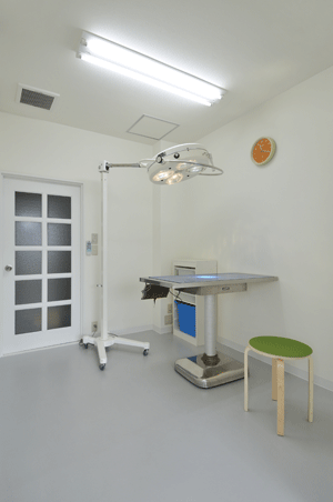 第3診察室(2F)エキゾチックアニマル専用